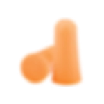 Foam Earplugs